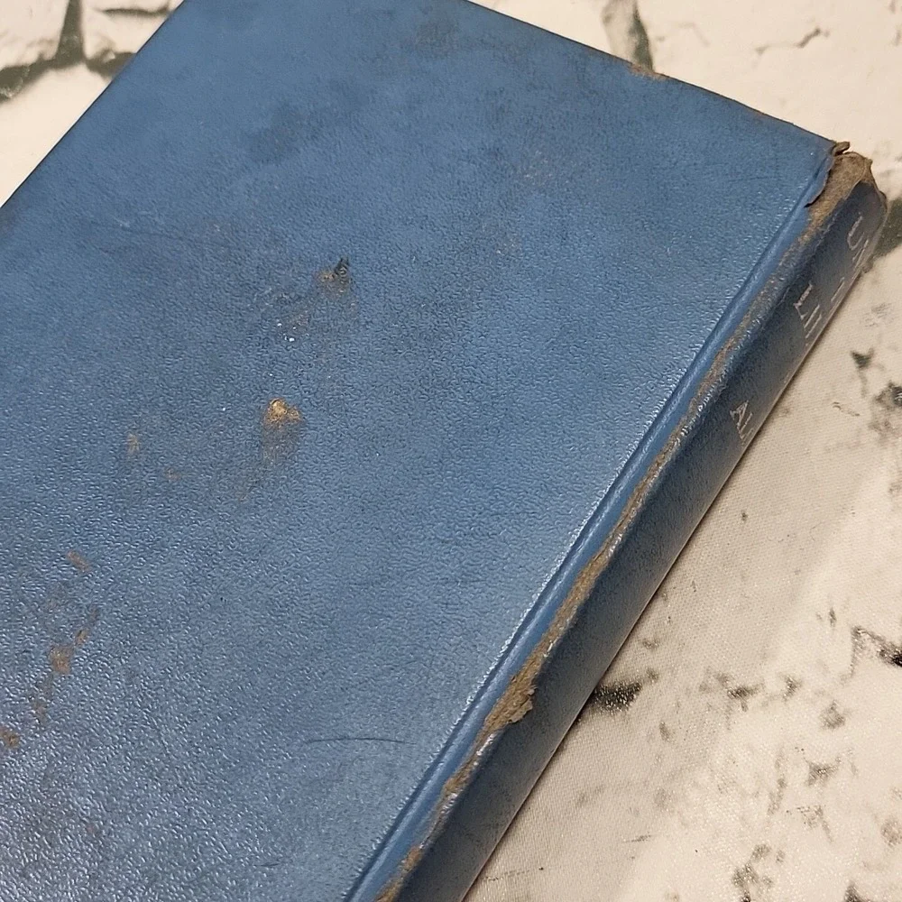 UNDER THE‎ LILACS, by LOUISA MAY ALCOTT Hardback 1928